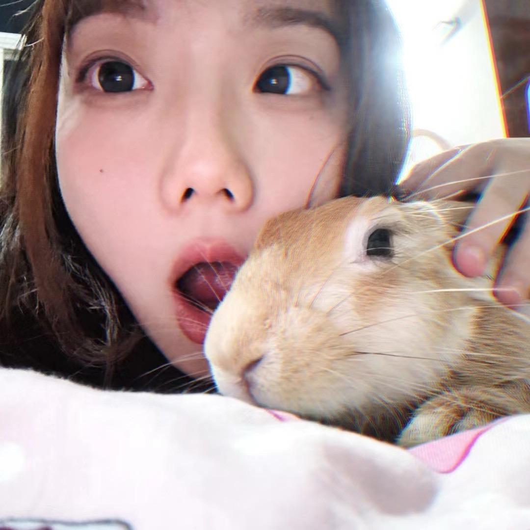 这里是一只兔纸
