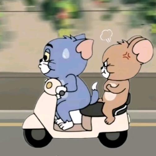 𝑭𝒂𝒏.凡🎋