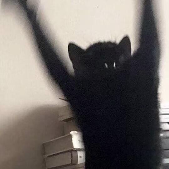 我不道啊