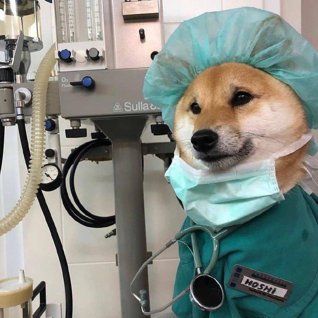 🔥      火炉子✟