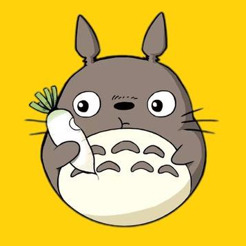 龙猫探影