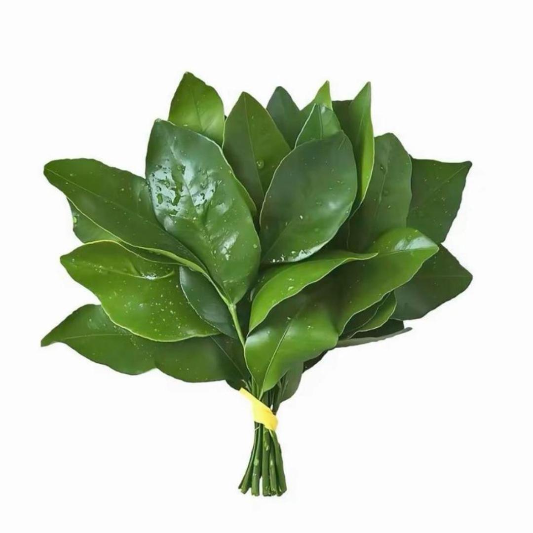 Hui敏