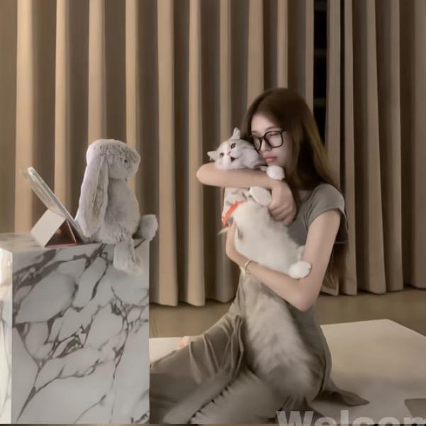 人生若只如初见、