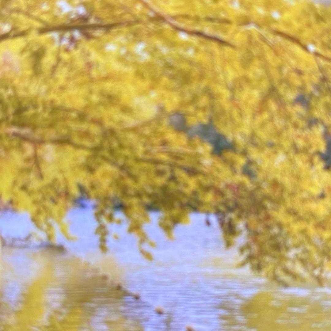 卜、卦、玄青…