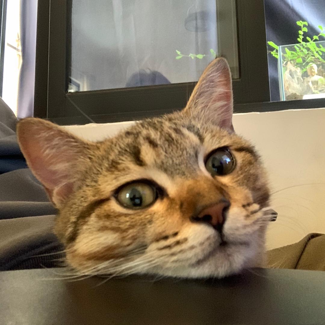 工目