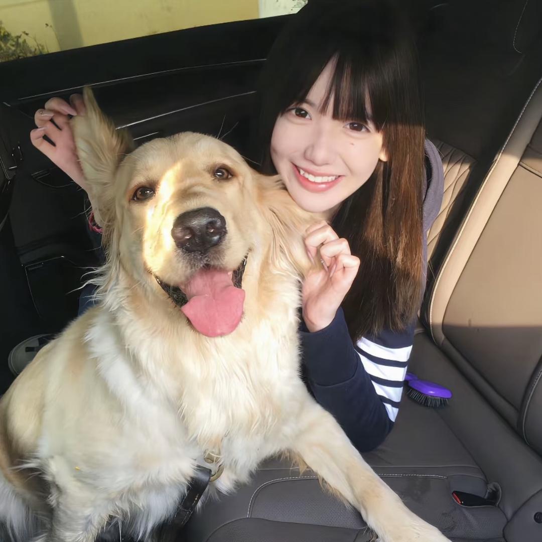 给狗织毛衣