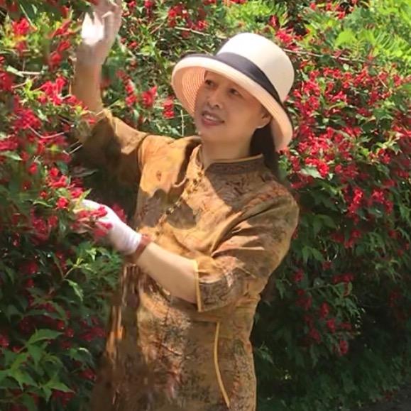 凤姿
