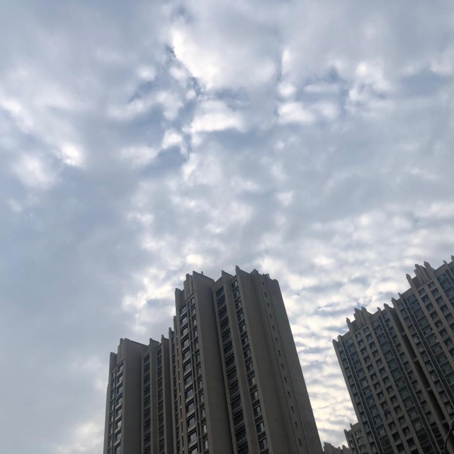 6个6