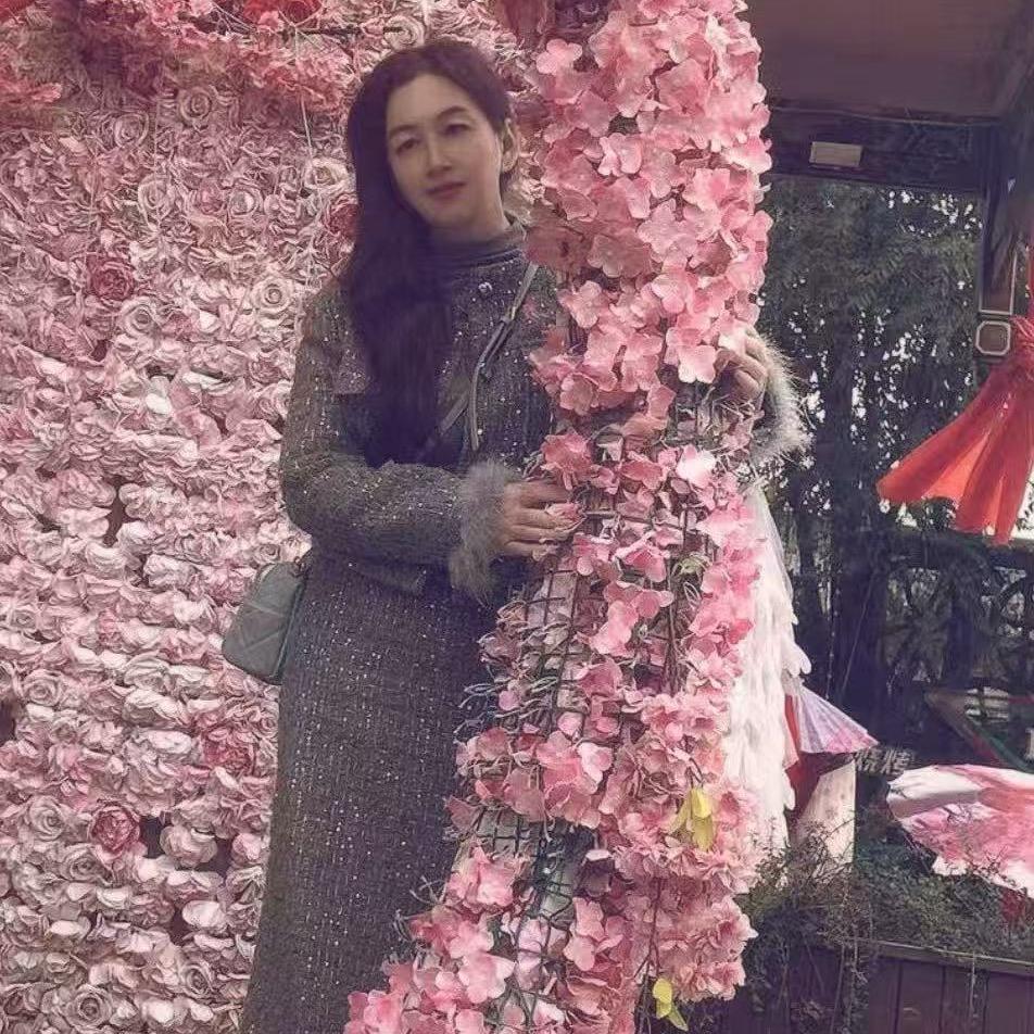 大海的美人鱼