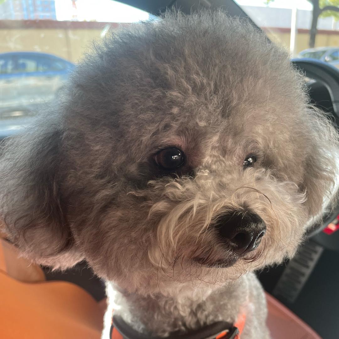 xiaoyezi🍀