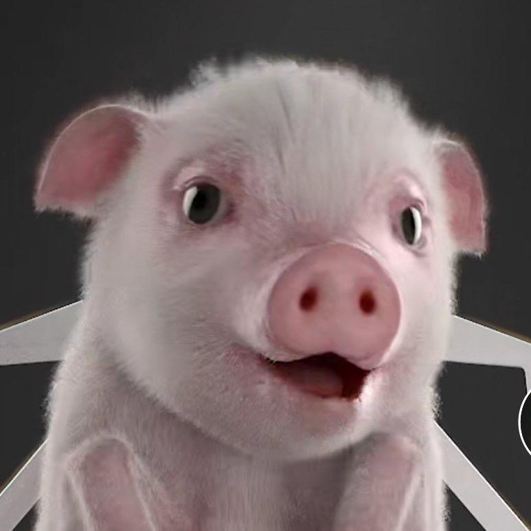 猪啧啧手工香肠官方号