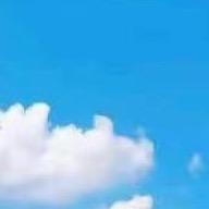 0.33