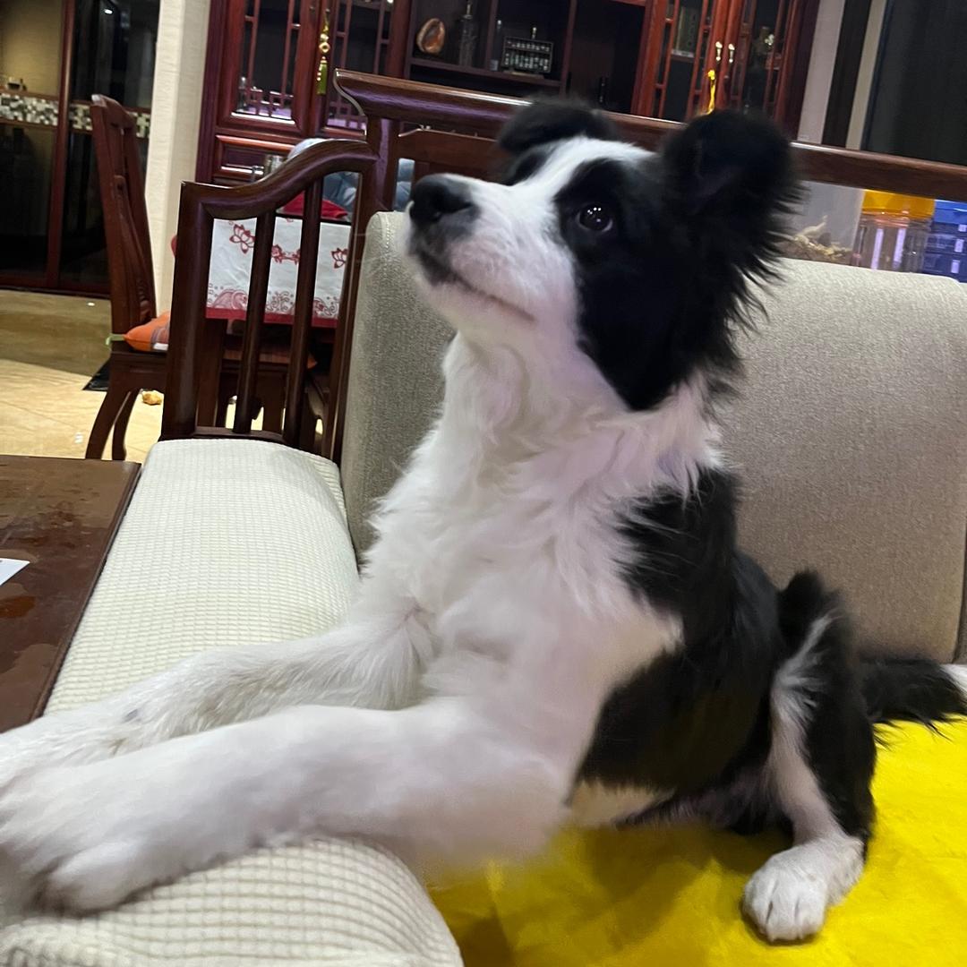 阿华