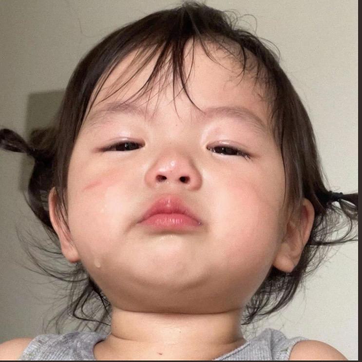 笨笨.