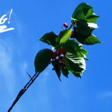 艳阳天中老年服饰