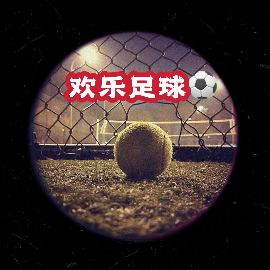 欢乐足球⚽️