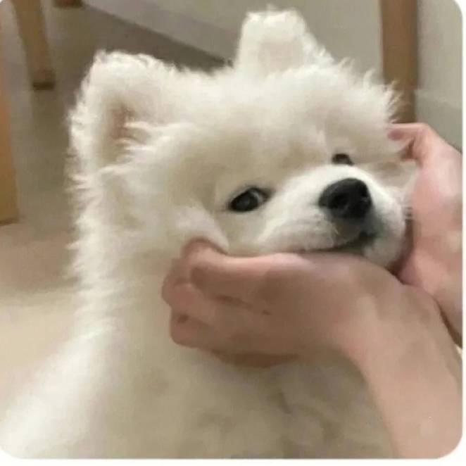 ..
