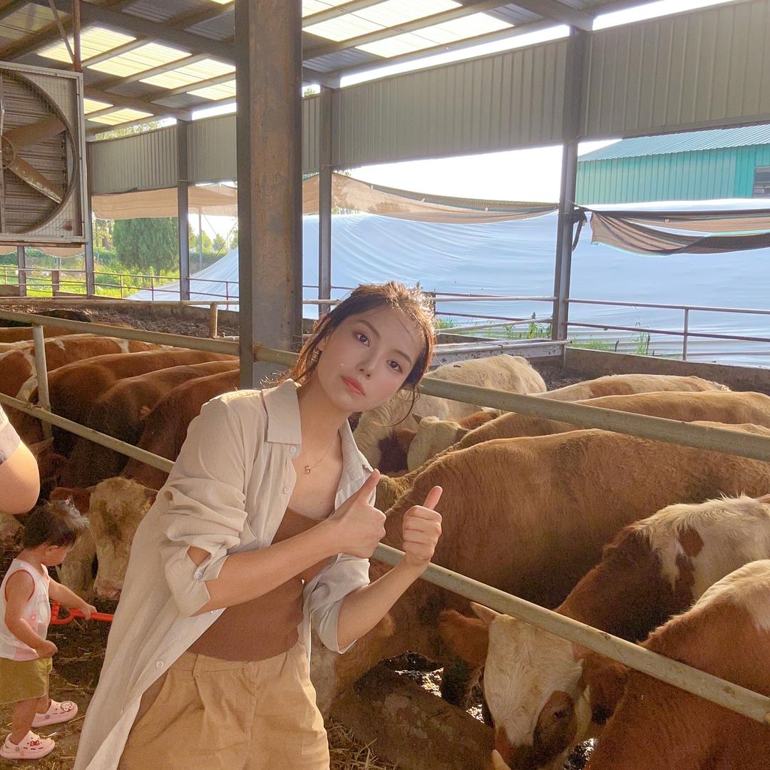 项城市刘建伟鲜牛羊肉 (可供货)