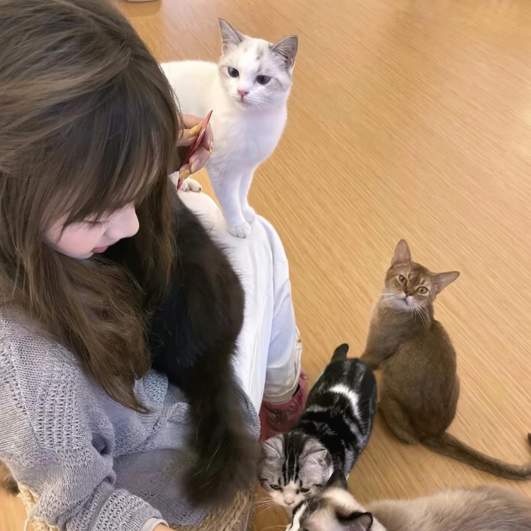 尚彩胶带工厂甄选