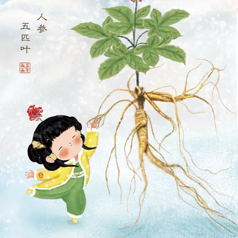 生产队/老参厂