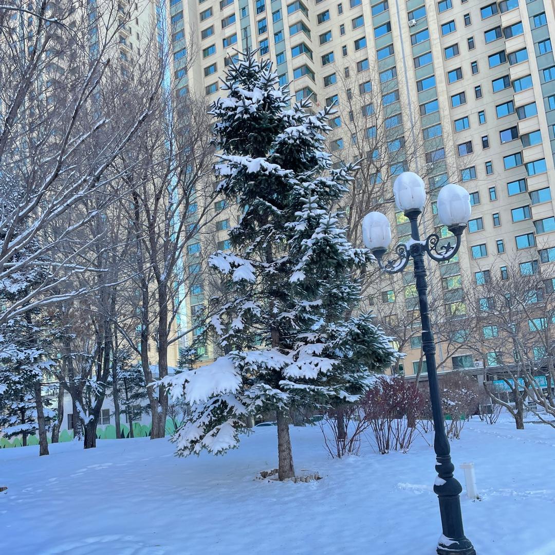清杨技术