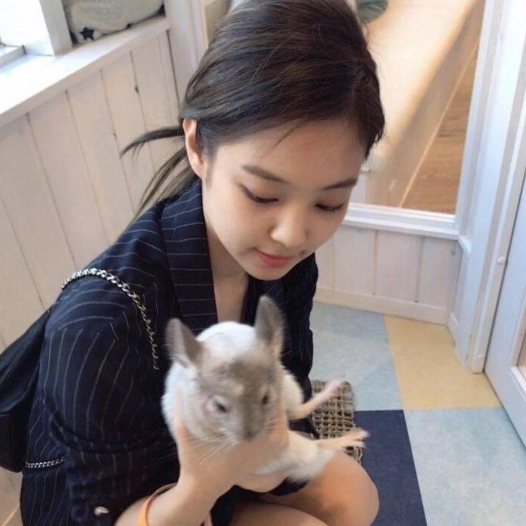 您有1只小miao