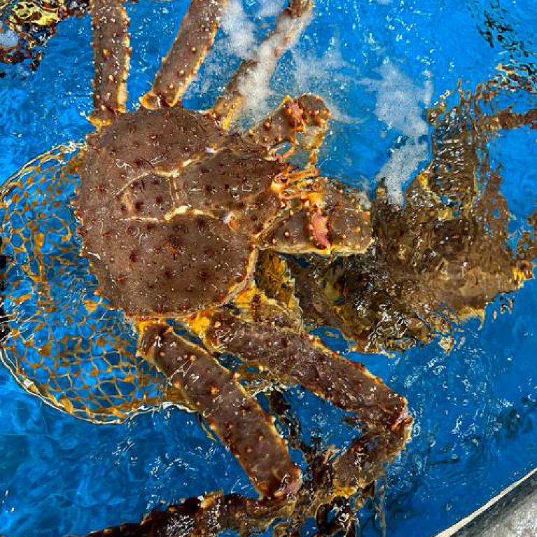 珲春市八方优选