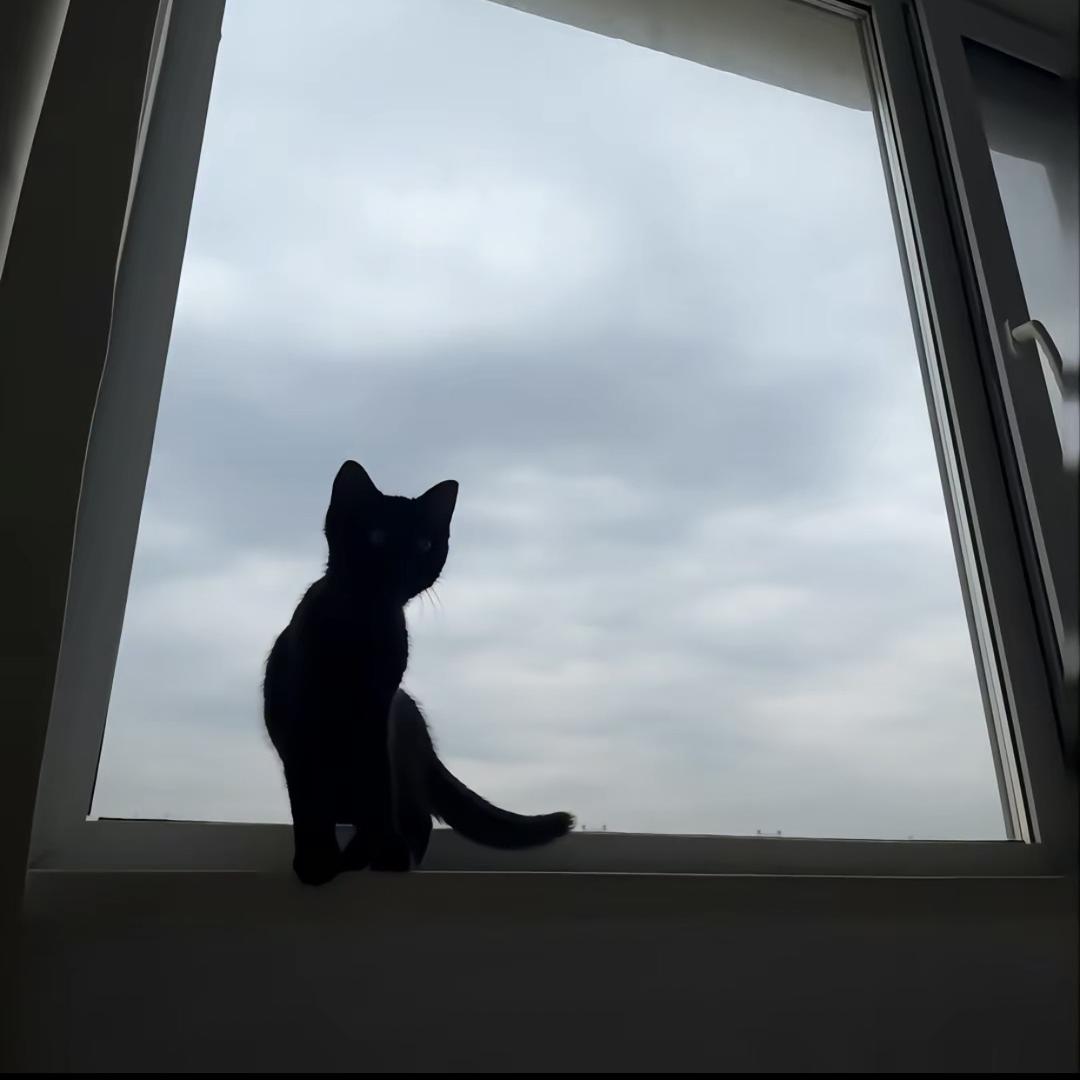dik