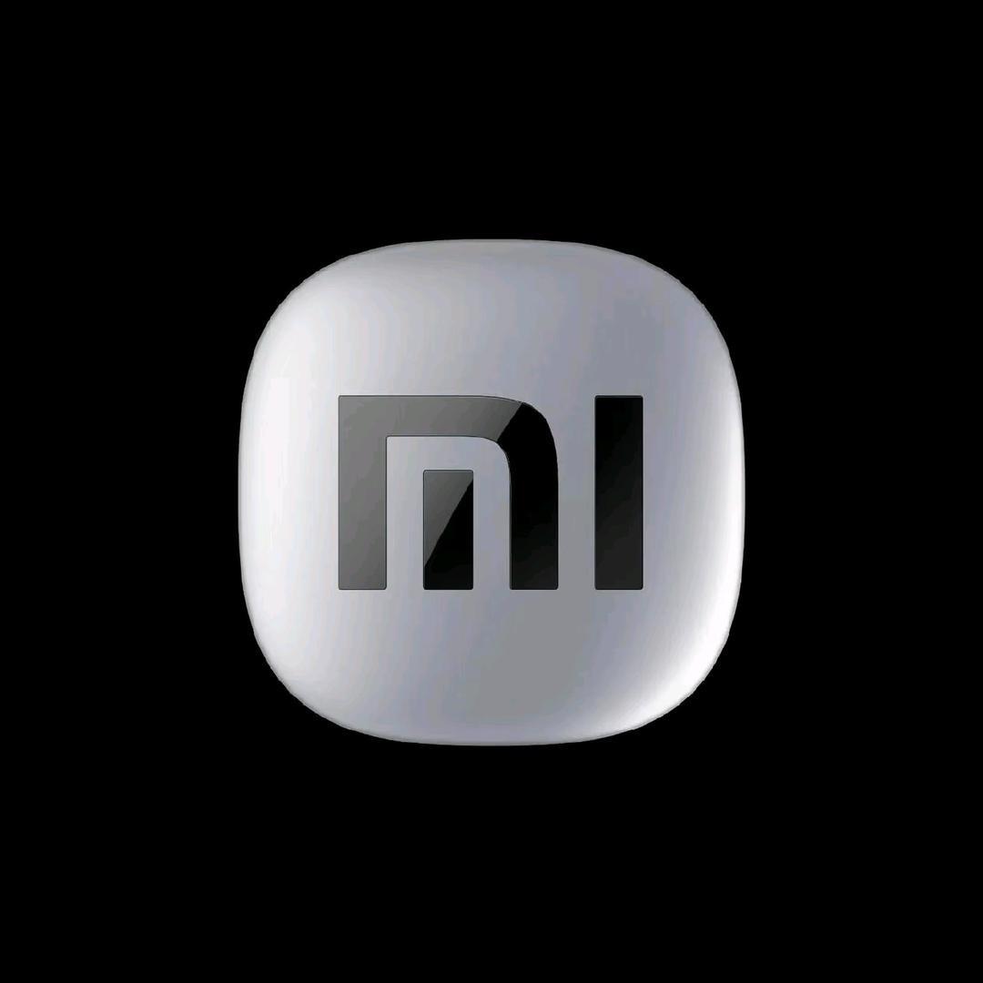 小米汽车｜东营吾悦 大头店长