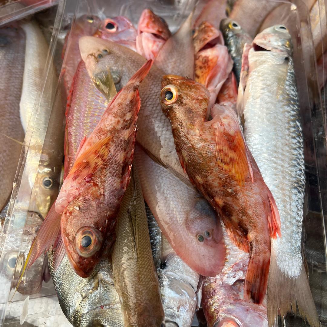 饶平海产品