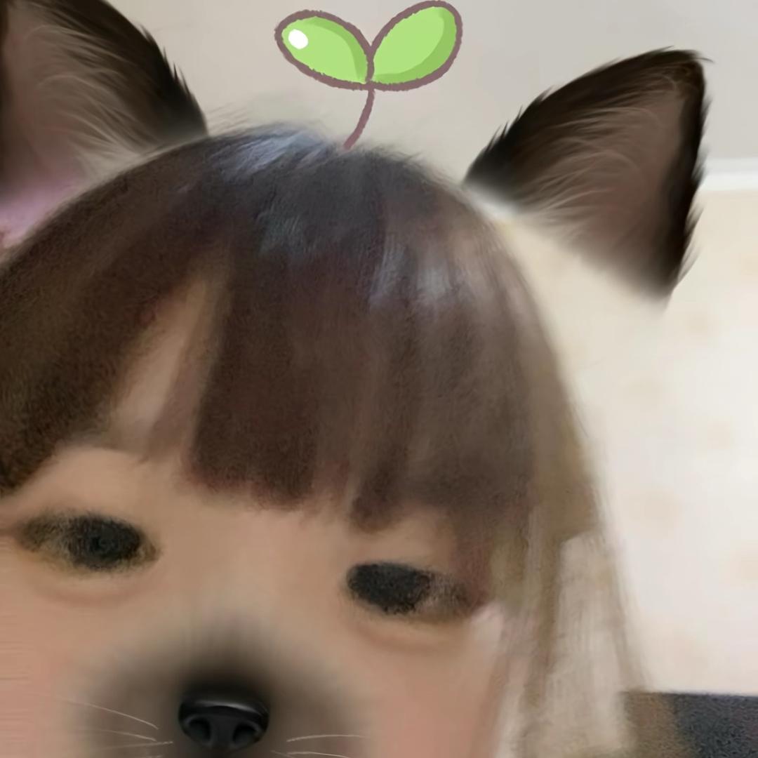 小蕊子🌙
