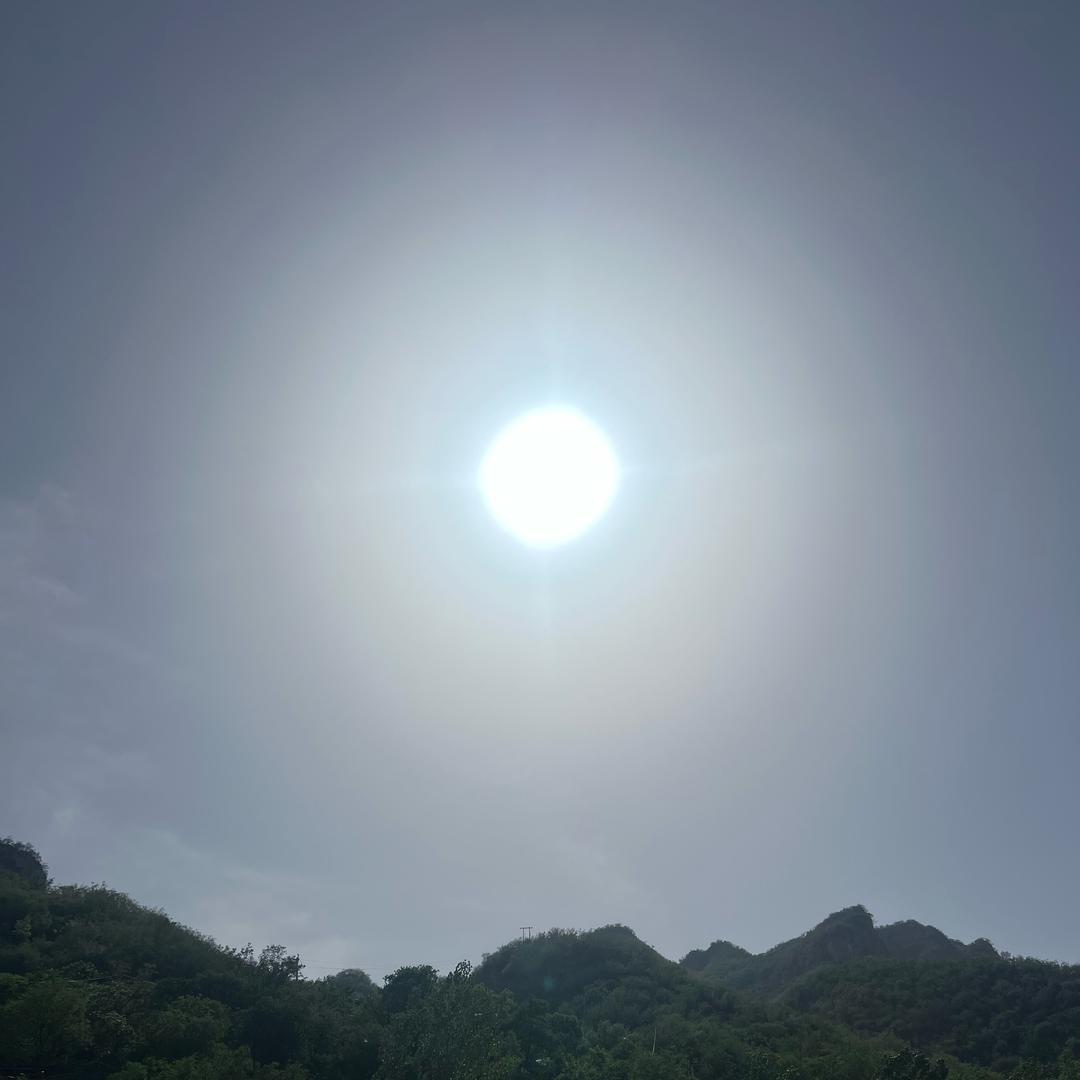 拼搏