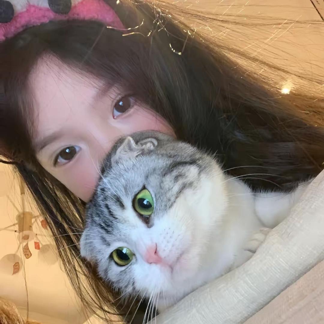 Ylinin