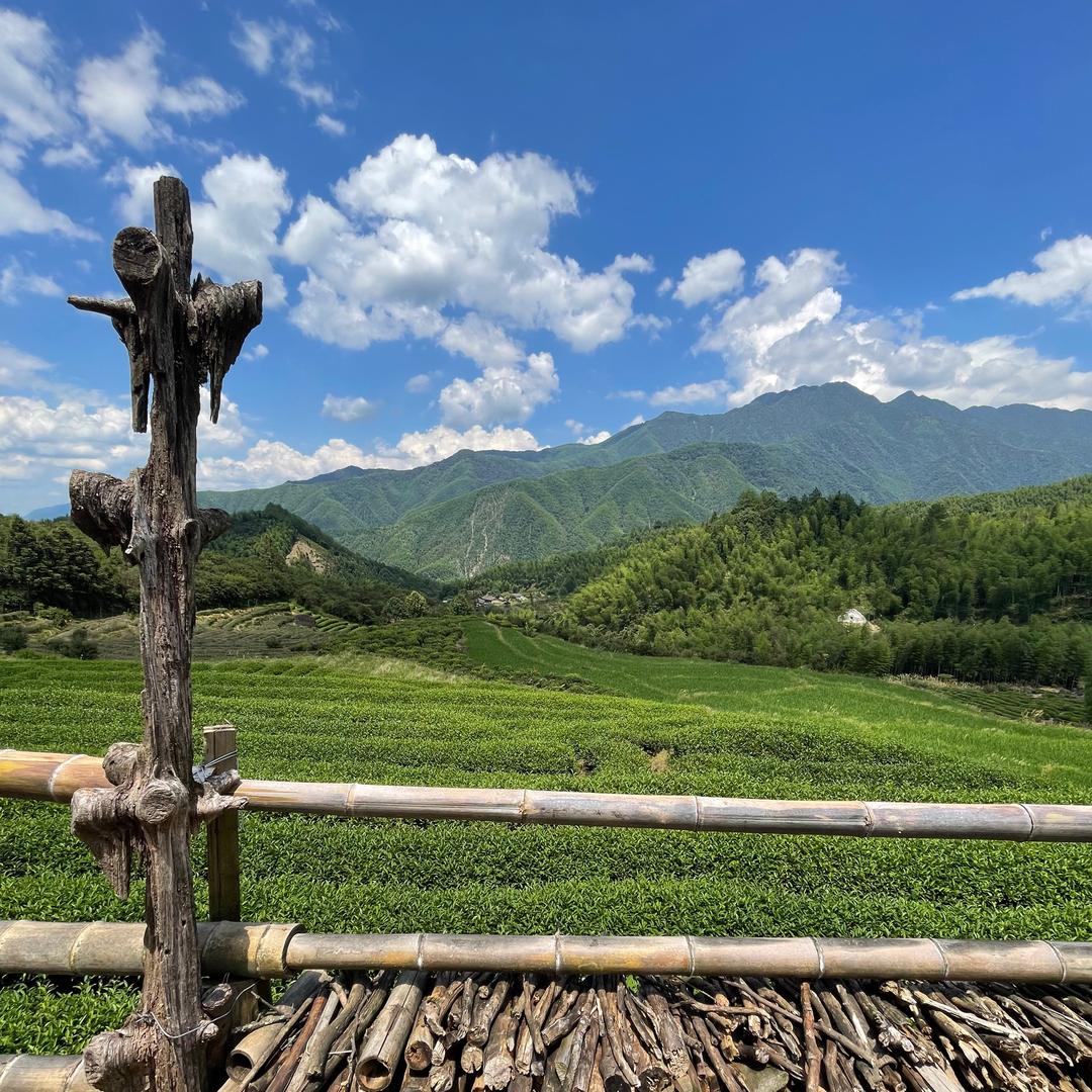 北武夷，黄叔