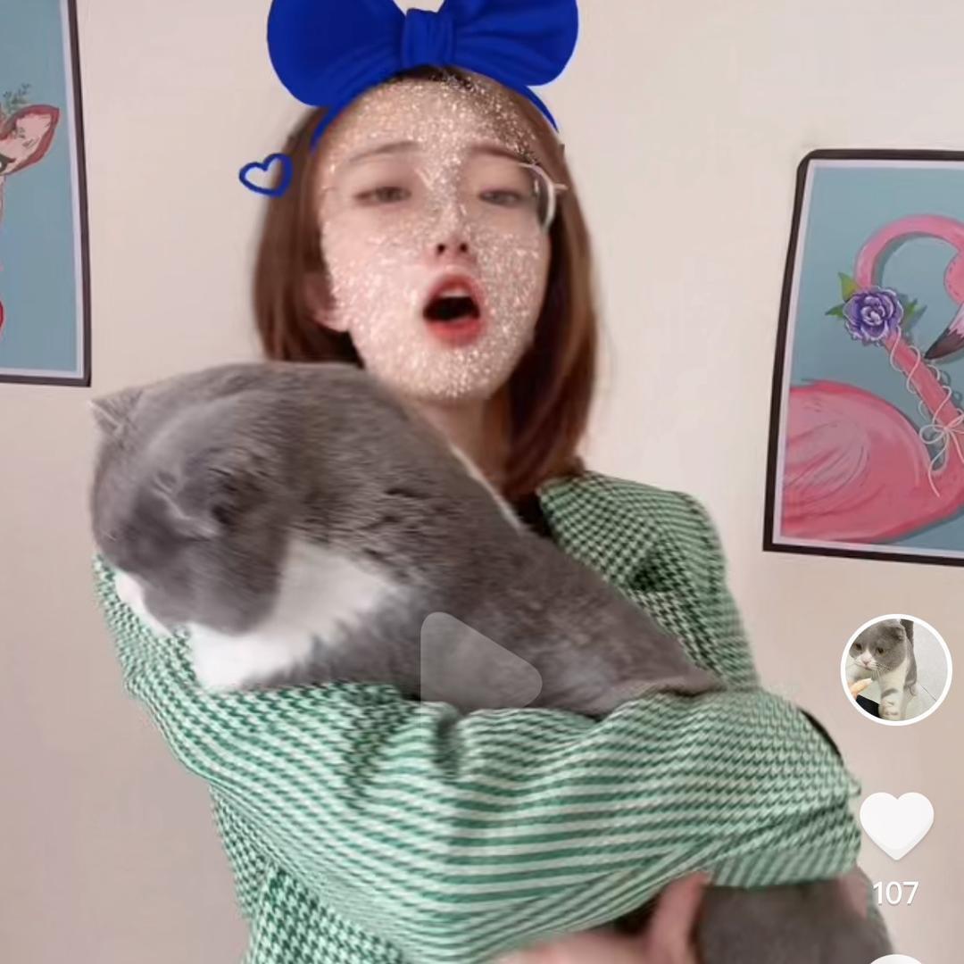 💧 小小坦克 🌱