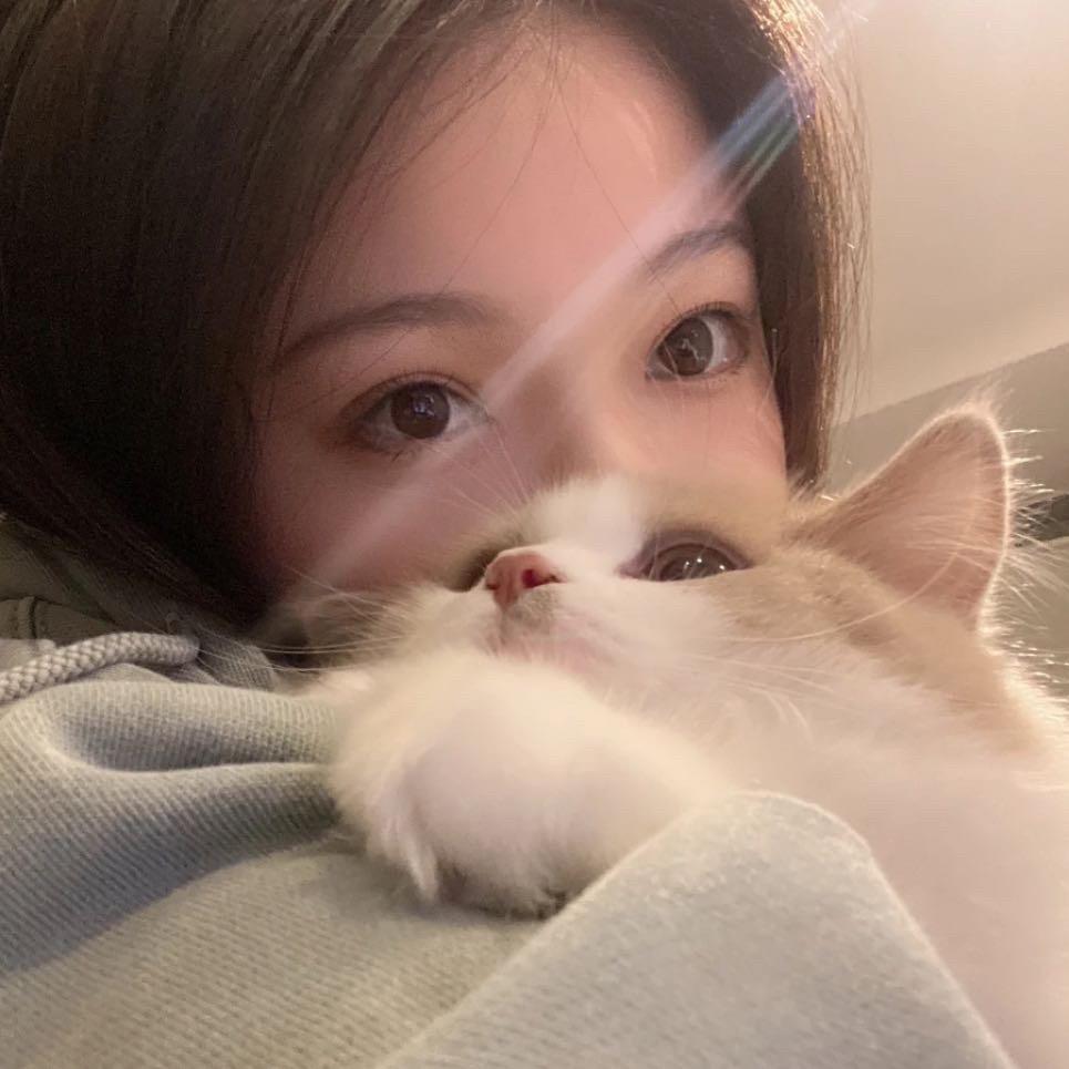 椰椰