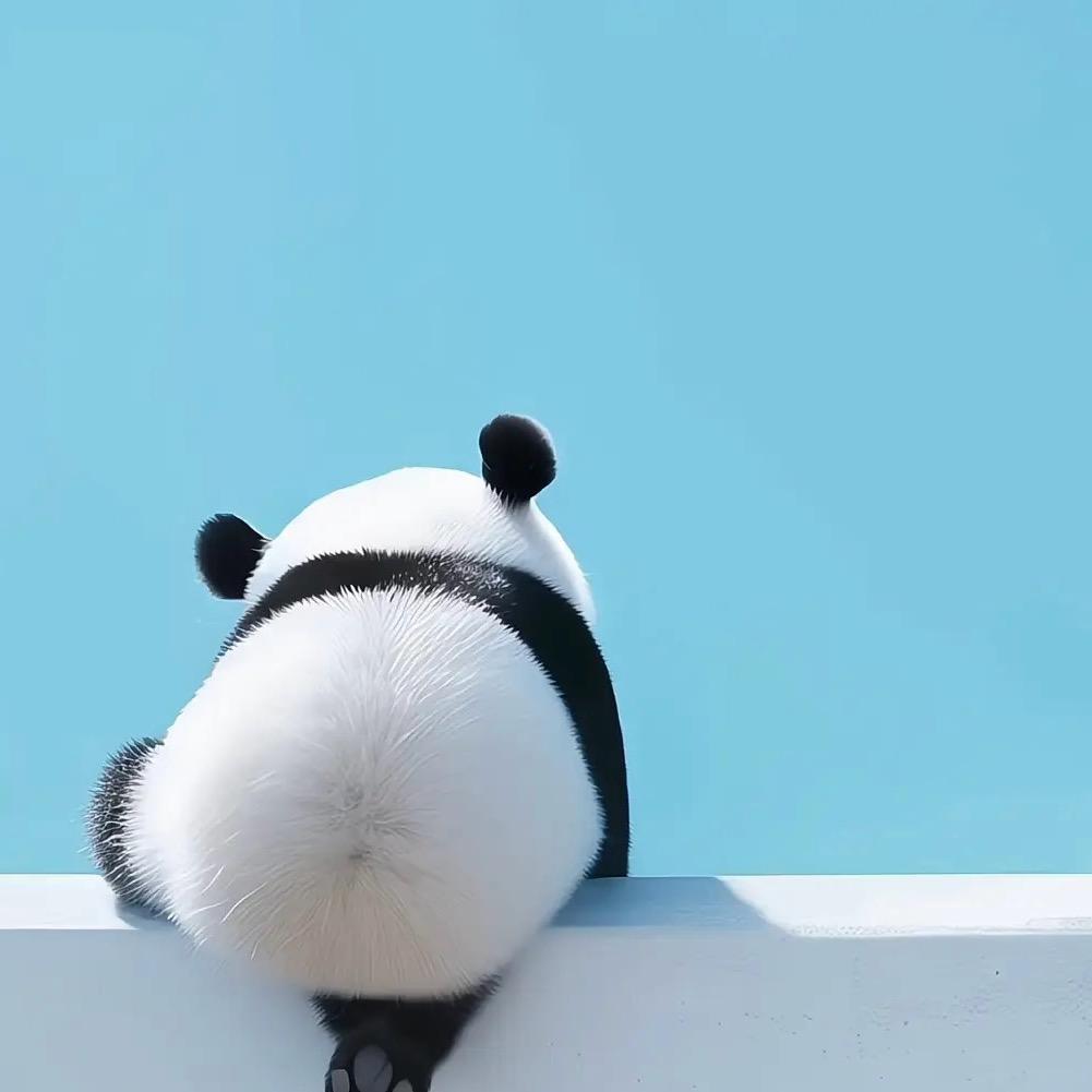 不要叫我叫耀哥