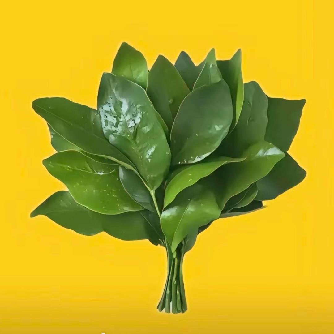 王德发