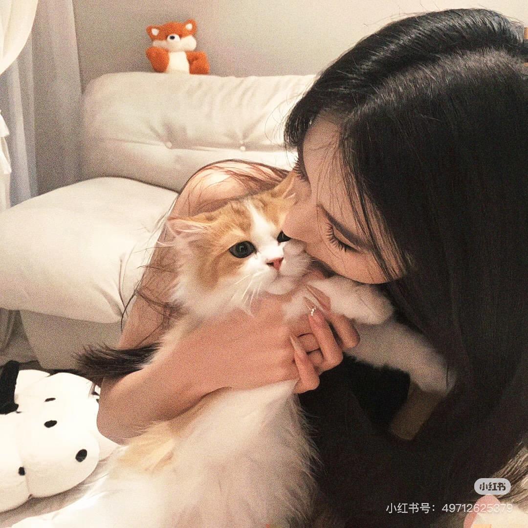 轻氧酵素