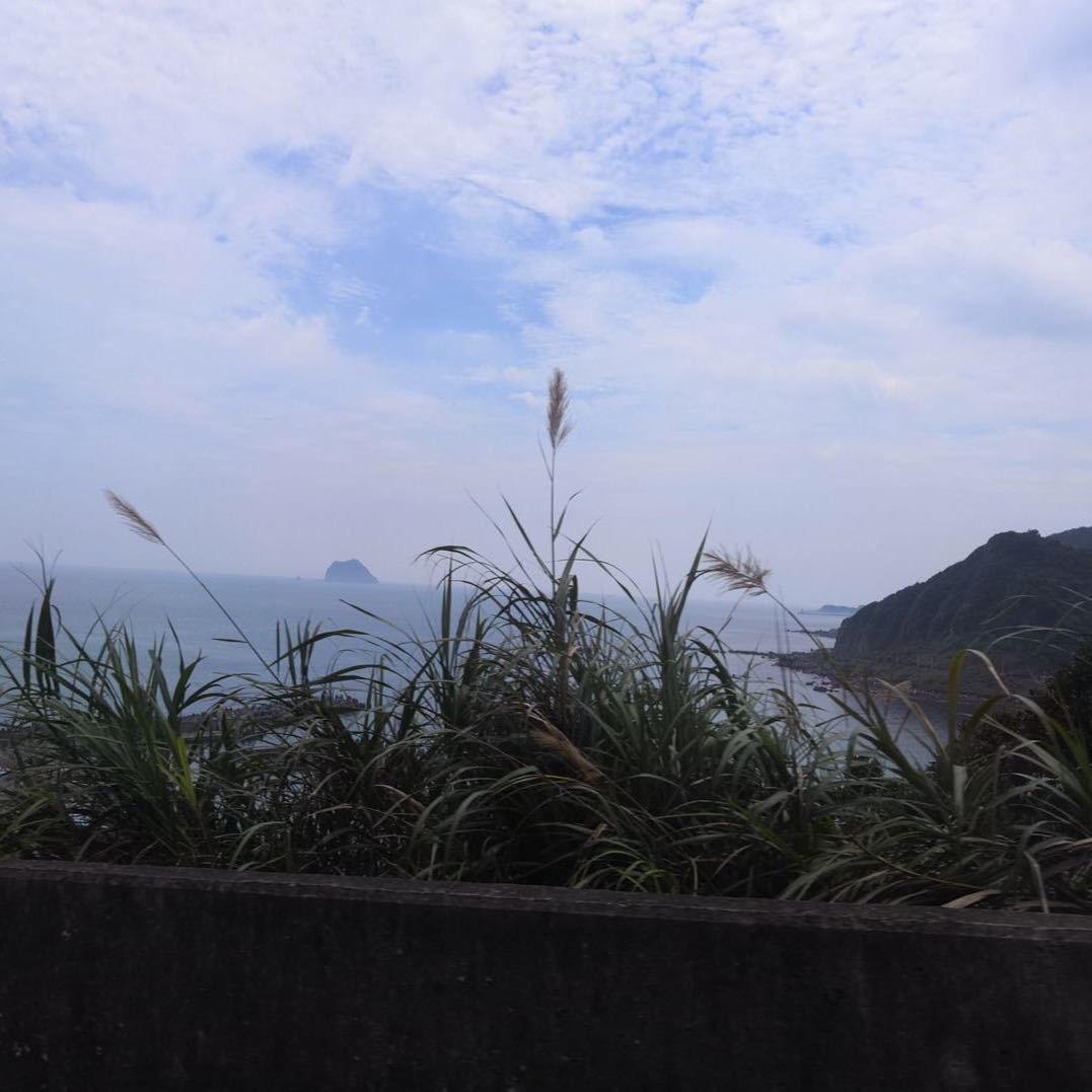 LeoK