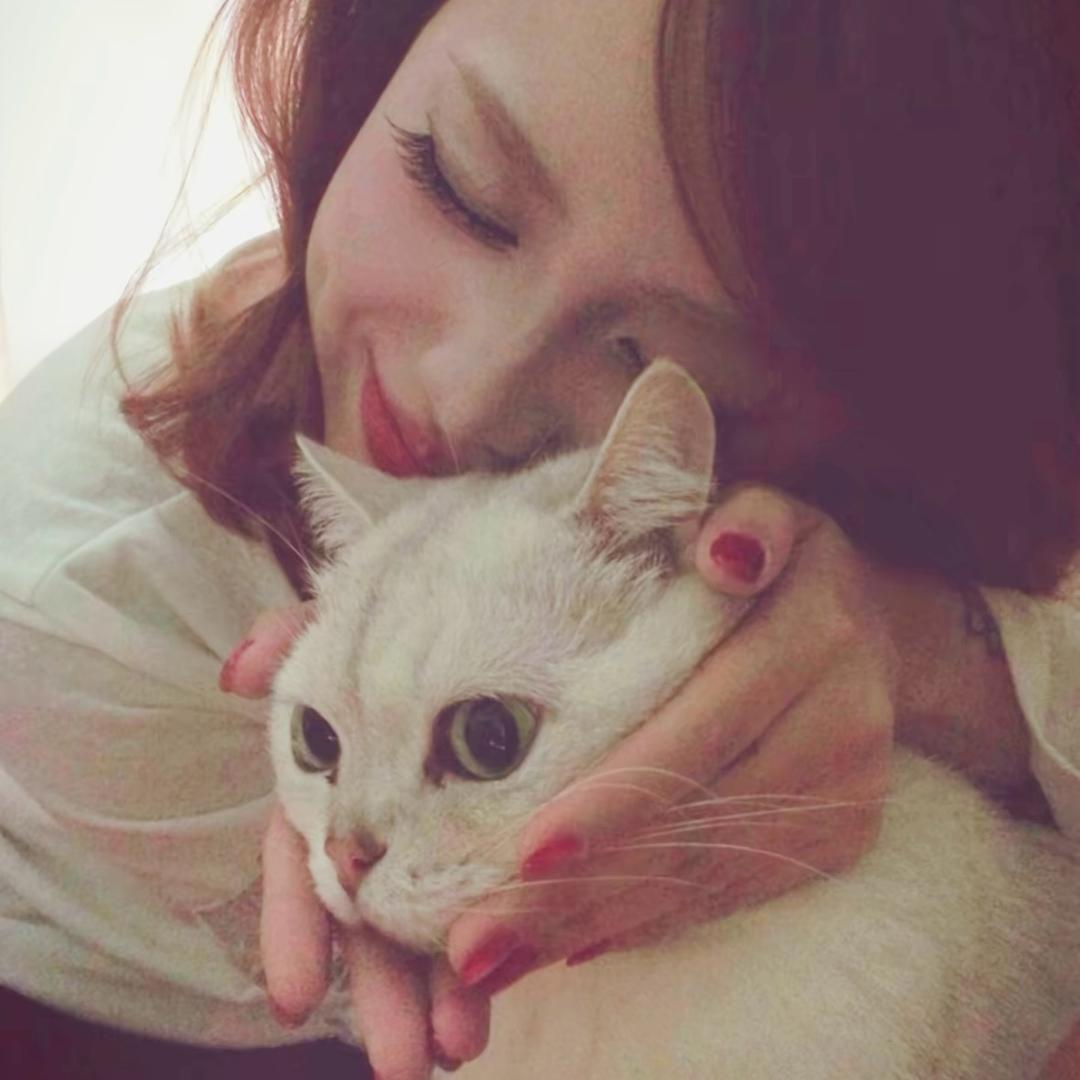太妃