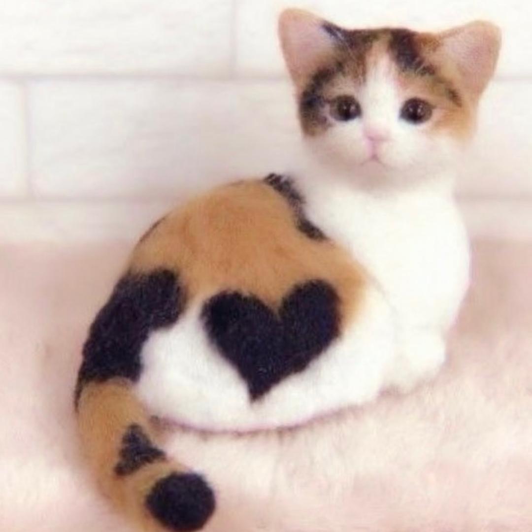 ⸝⸝っ·̫ •⸝⸝