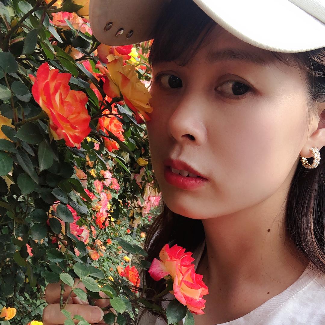 🌸樱花草