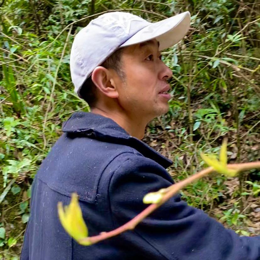 山里人老谭