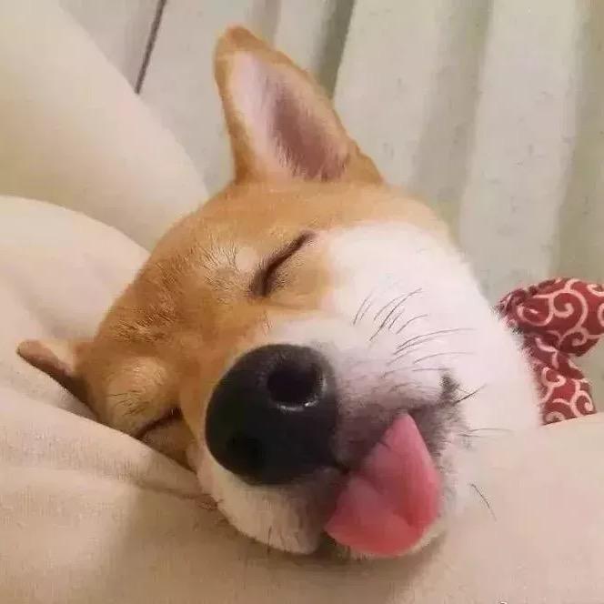 Yyyy