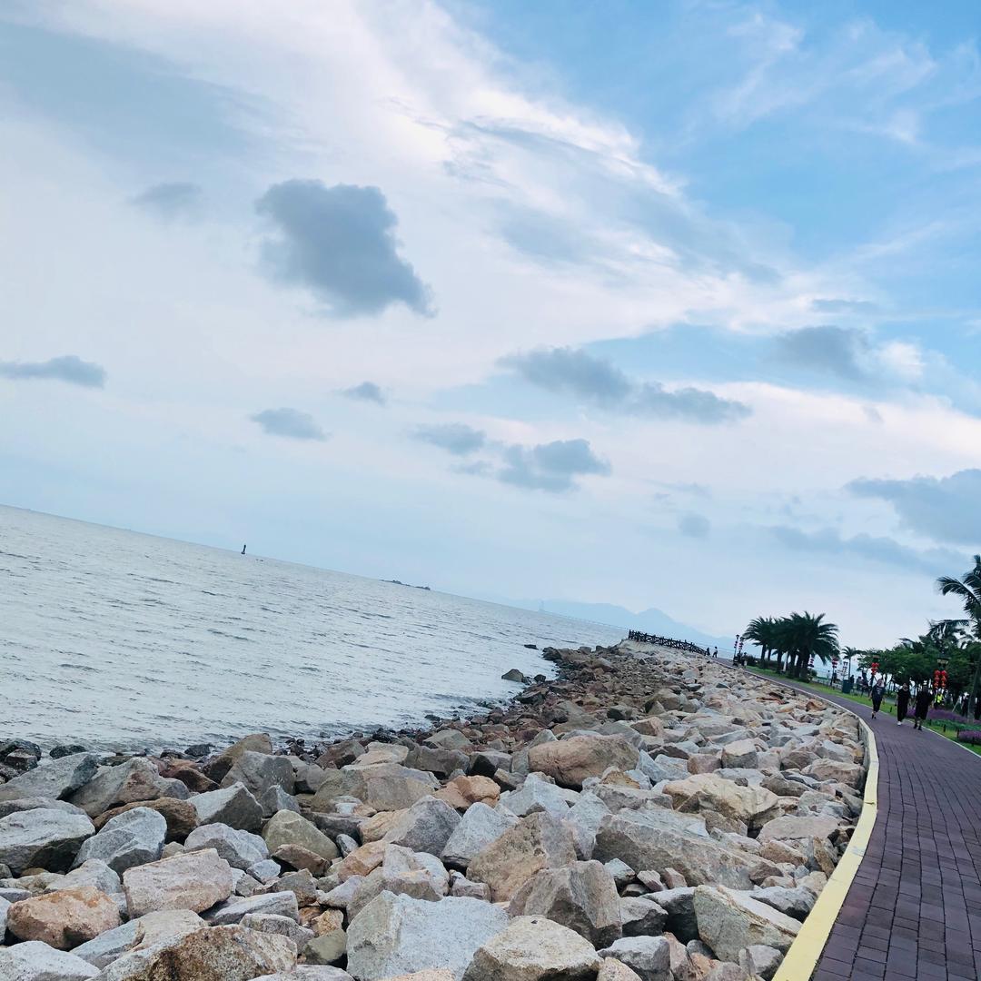 胖纸的燃脂日记