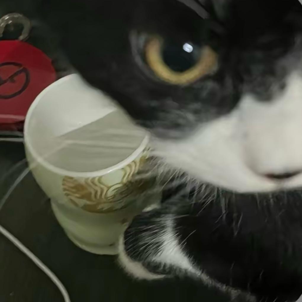 新能源二手车  鸿