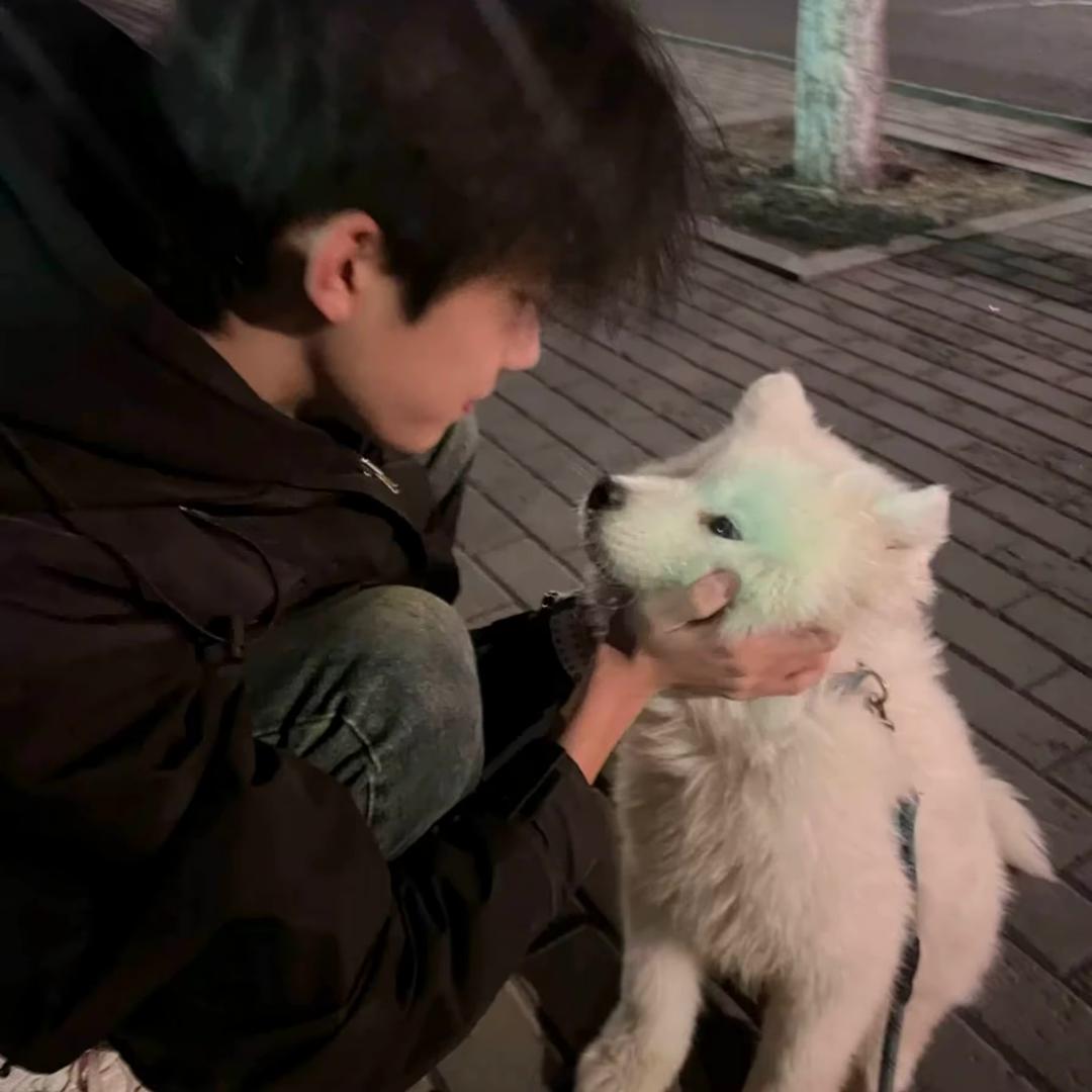 🐑了个羊