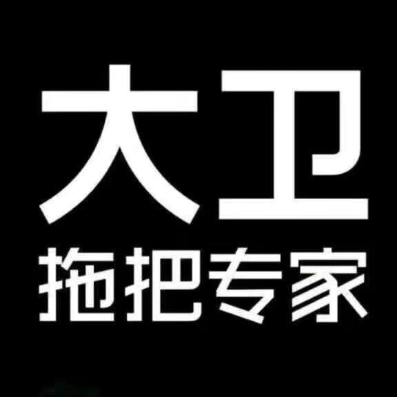 大卫拖把专家官方授权店