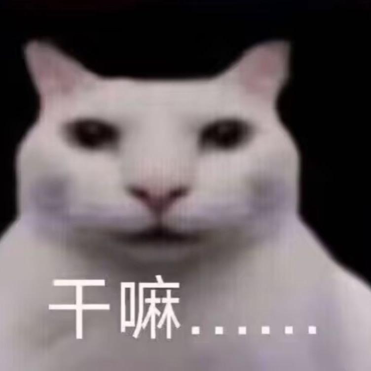 躲我抛春恨的是gay